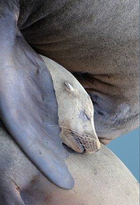 photo of Margaret M.