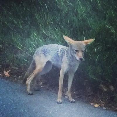 photo of elizabeth m.