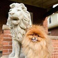 photo of Gretchen V.