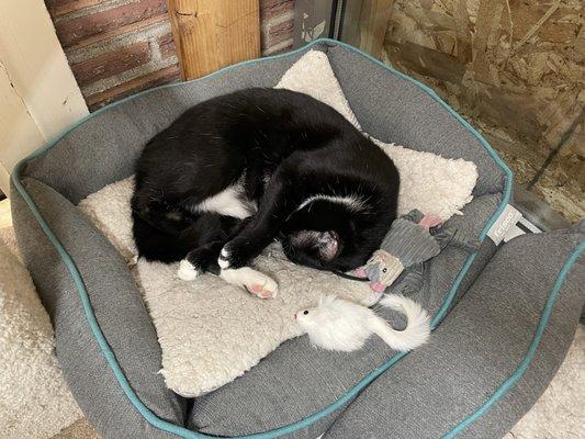 photo of Linnie Saldeen ..