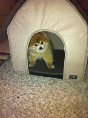 Photo of Queen L.