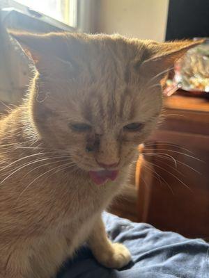 photo of Chandler E.