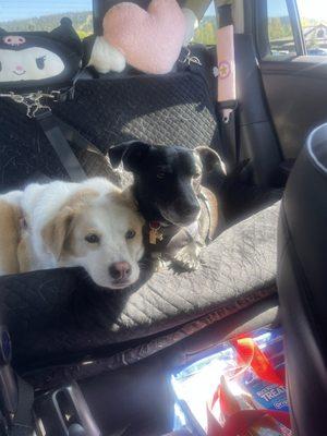 photo of Christine S.