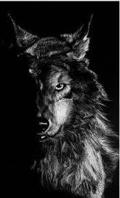 Photo of Wolfie E.