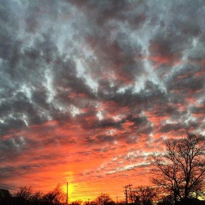 Photo of Lorraine L.