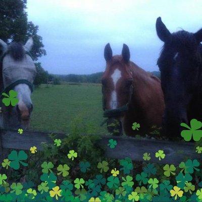 photo of Kathleen P.