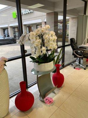 photo of Virginia M.