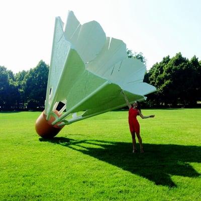 photo of Danielle M.