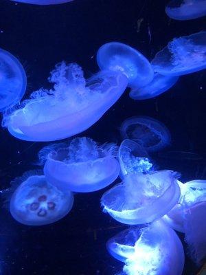 photo of Elizabeth S.