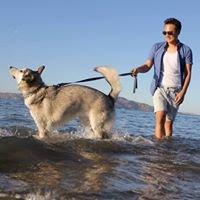 Photo of Wen-chien C.