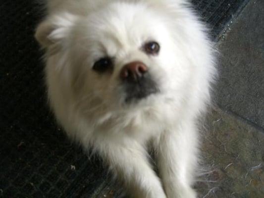 photo of Christine D.