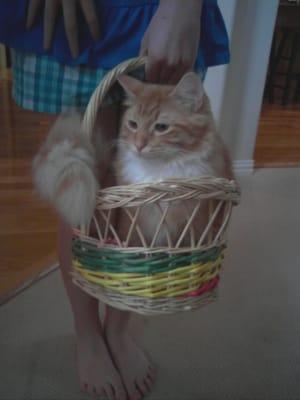 photo of Patricia T.