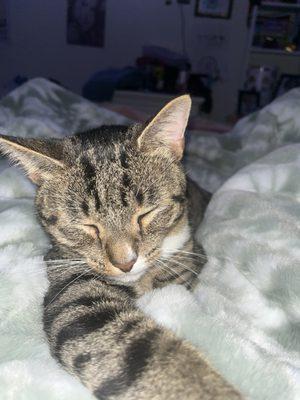 Photo of Olive M.