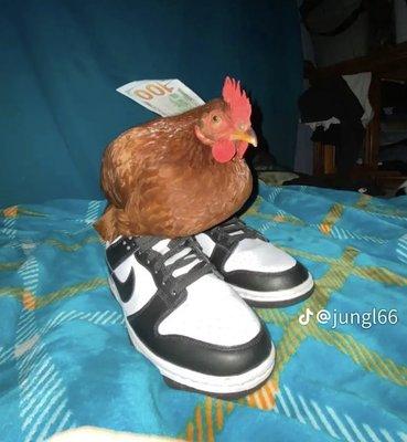 photo of Zucchini A.