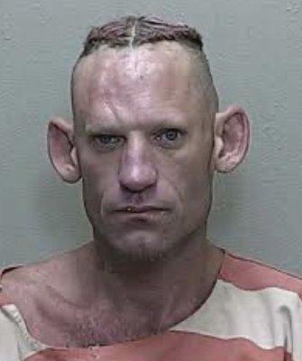 Photo of Darius B.