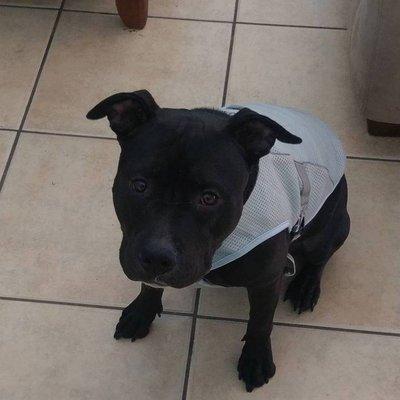 photo of Fernando R.