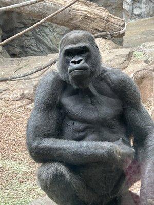 Photo of Giovanni G.