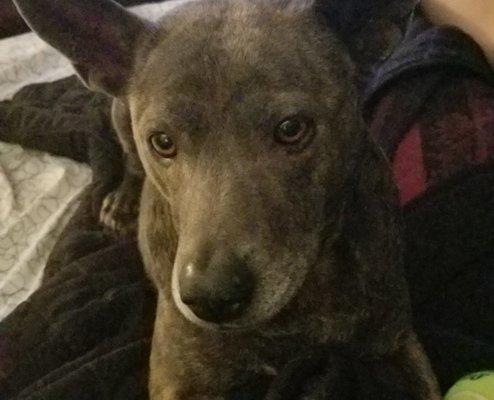 photo of Steffany K.