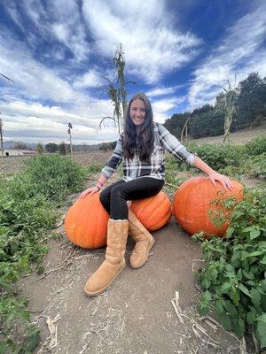 Photo of Caitlyn E.