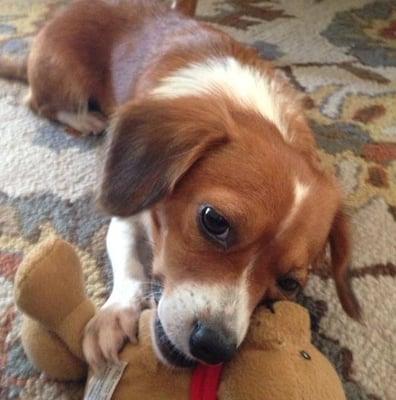 Photo of Rosemarie G.