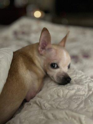 photo of Mrs F.