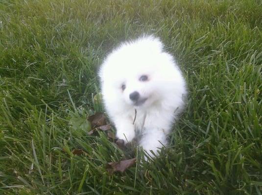 photo of DocAviator R.