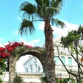 photo of Elizabeth B.