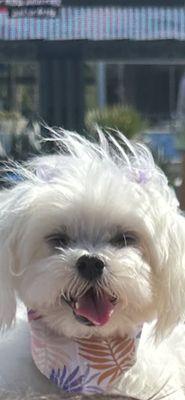 photo of Marjorie R.