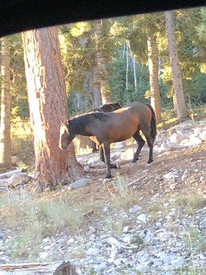 photo of Christopher B.