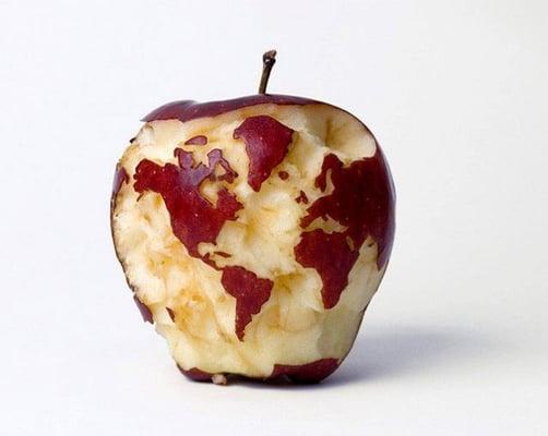 Photo of Feed U.