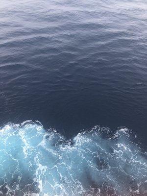 photo of FaithJean W.