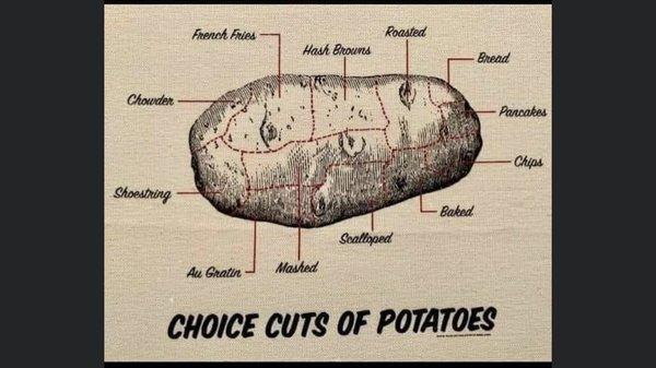 photo of Francesca K.