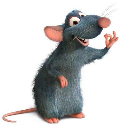 Photo of Pallas R.