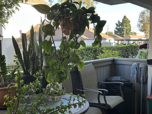 photo of Alejandra S.