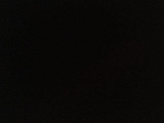 Photo of Ana D.