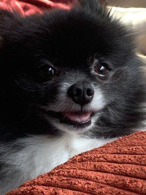 Photo of Frankie D.