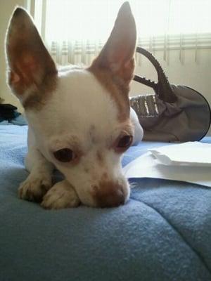 photo of Christine V.