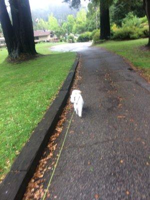 photo of Charlotte G.