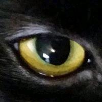 photo of Jennifer K.