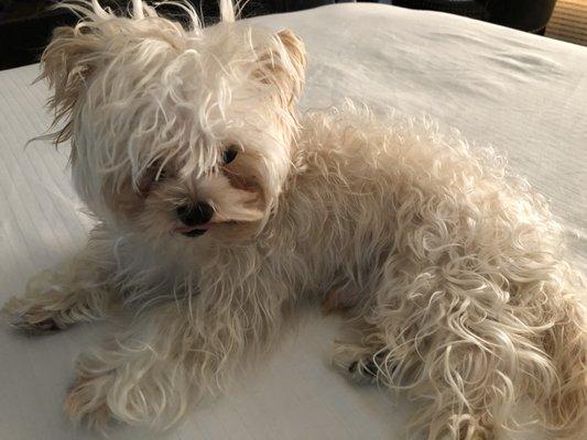 photo of Isabella C.