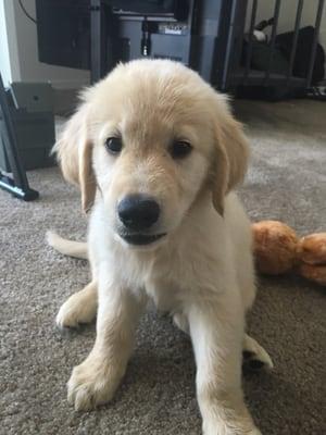 Photo of CorDarryl H.