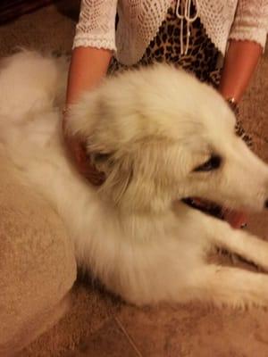 photo of Fe Evangeline E.