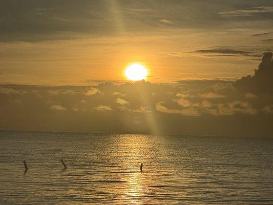 photo of Dr Mitch M.