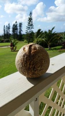 photo of Christine K.