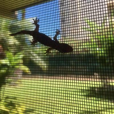 photo of Stephanie C.