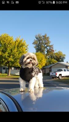 photo of Christina O.