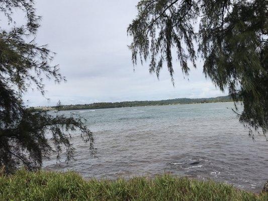 photo of Opion One G.