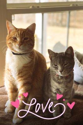 photo of Stacey D R.