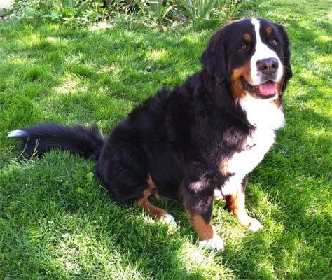 photo of Jacqueline S.