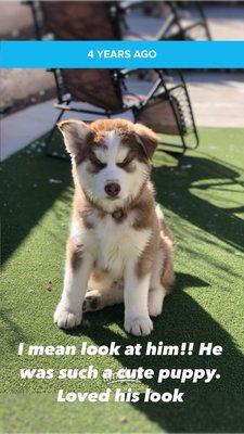 Photo of Estephania E.